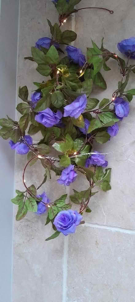 Photo of free Blue flower lights garland (Slyne-with-Hest LA2) #2
