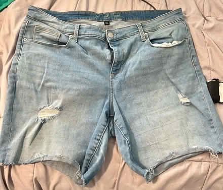 Photo of free Universal Threads 20WR Jorts (New Carrollton, MD) #2