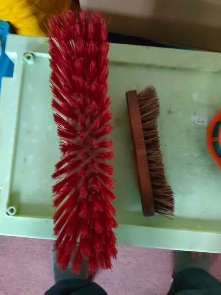 Photo of free Stiff garden brushes (Lower Ansty DT2) #1