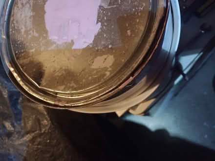 Photo of free Laura Ashley Paint (CT11) #2
