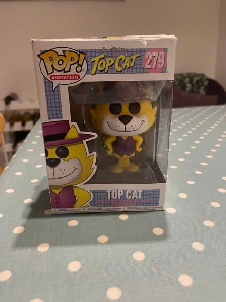 Photo of free Top cat (Penrith CA11) #1