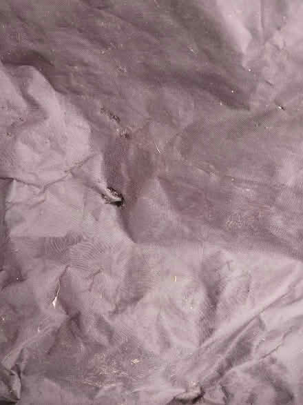 Photo of free BTR Bike Cover 1 or 2 bikes (Loughborough Junction SE5) #3