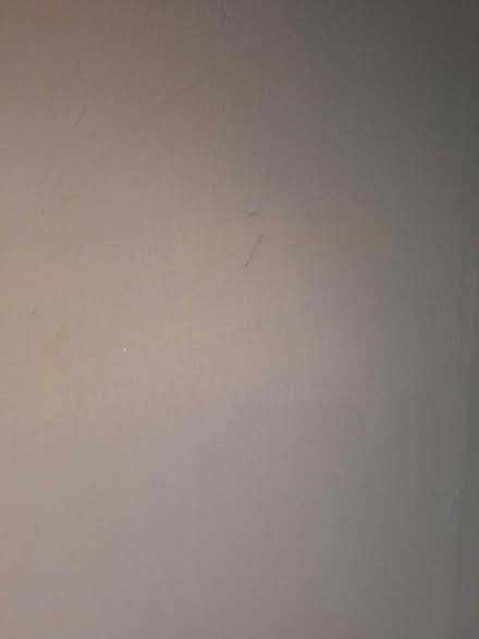 Photo of free 4 litres grey-green emulsion (OX10 6BD) #2