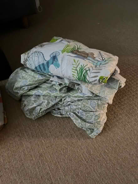 Photo of free Dinosaur Single duvet sets (Saltford.) #2