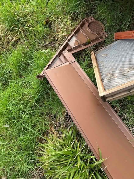 Photo of free Shed (Chipley TQ12) #2