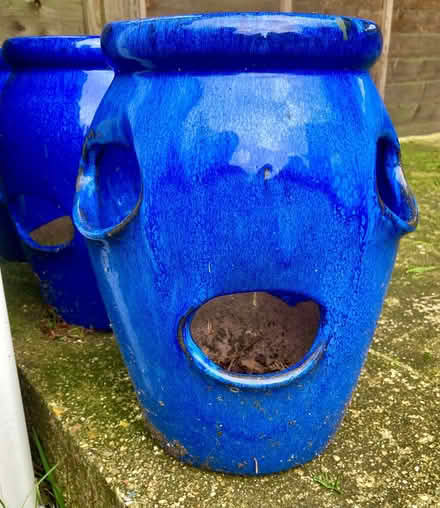 Photo of free Blue ceramic multi plant pot (Newtown SO19) #1