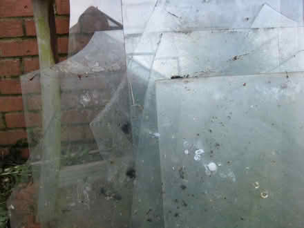 Photo of free Greenhouse glass, used. (Yeading UB4) #1