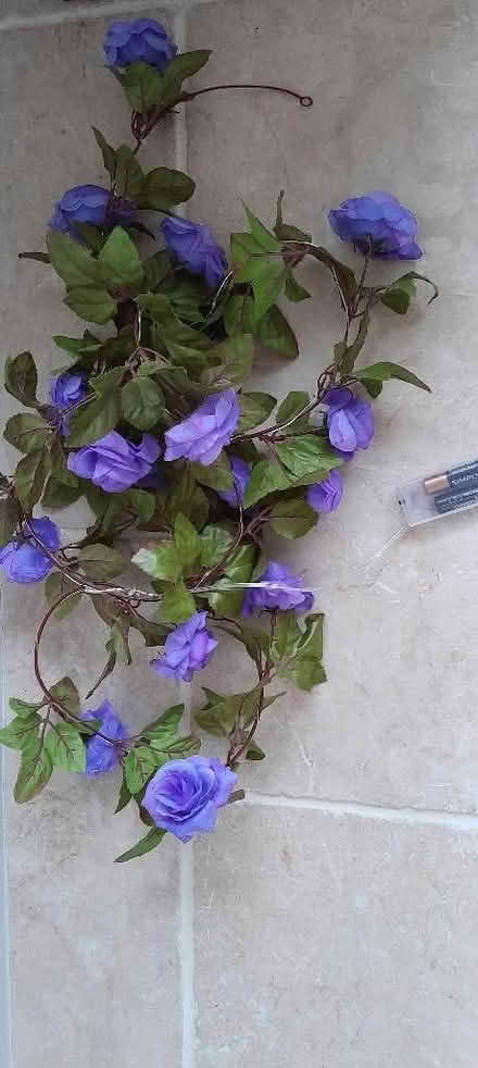 Photo of free Blue flower lights garland (Slyne-with-Hest LA2) #1