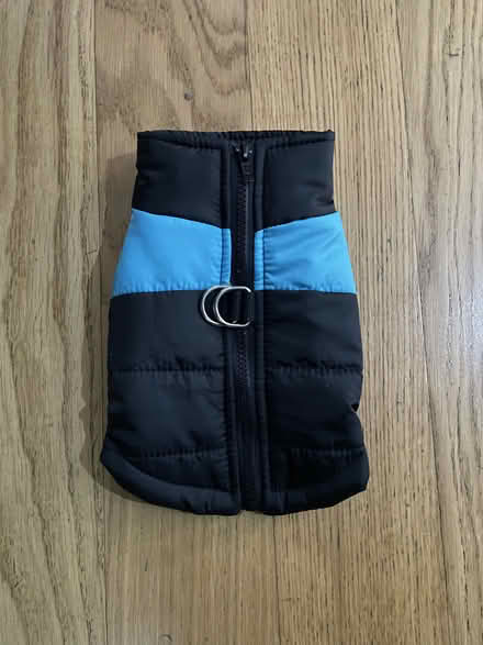 Photo of free Small animal jacket (Cambridge station area) #1