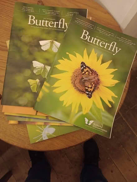 Photo of free Butterfly Conservation magazines (Three Bridges RH10) #1