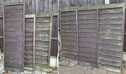 Photo of free Fence Panels (Hamstead B43) #1