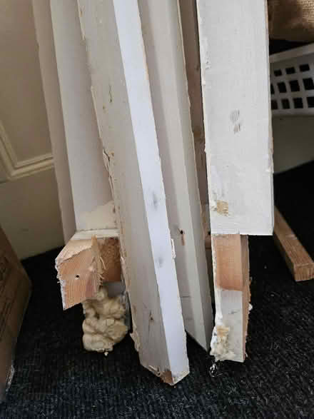 Photo of free Timber (London Fields) #2