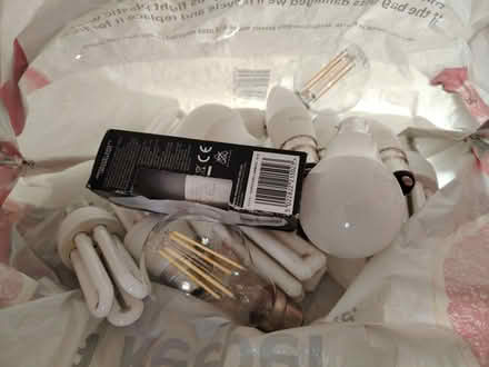 Photo of free Light Bulbs (Cashes Green GL5) #1