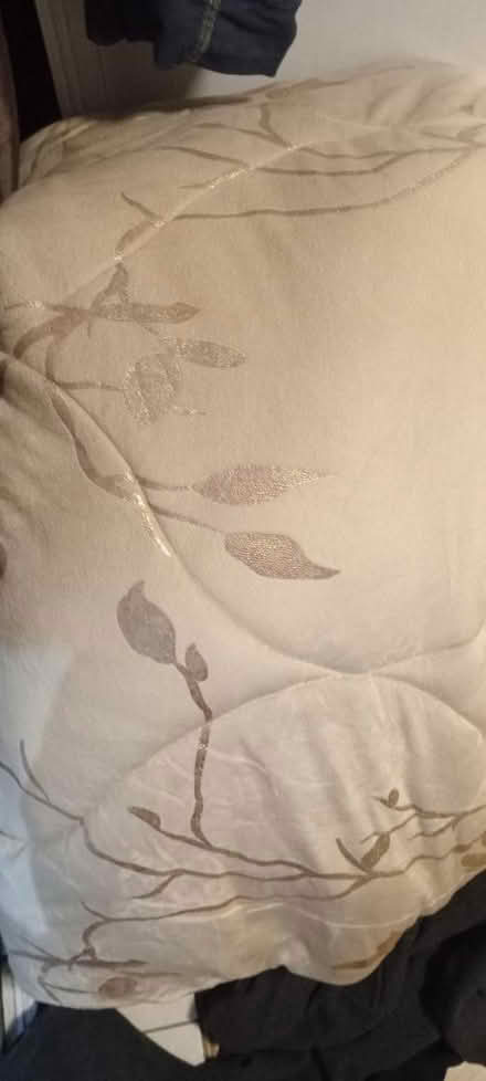 Photo of free Double duvet (Greenford broadway) #1