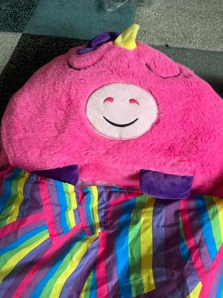 Photo of free Children’s sleeping bags (RG30 Tilehurst) #3