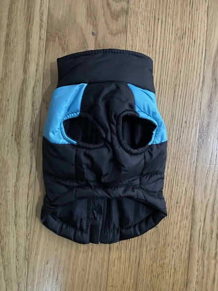 Photo of free Small animal jacket (Cambridge station area) #2