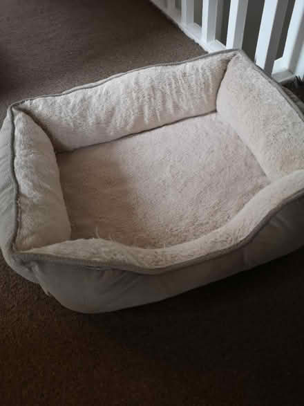 Photo of free Cat bed (St Albans AL4) #1