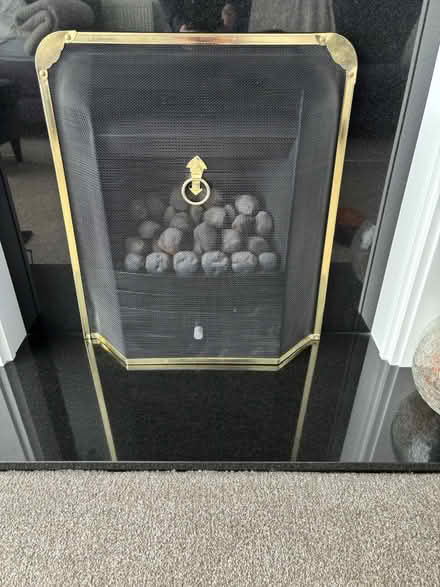 Photo of free Black and Gold Fire Guard (Wigston Magna) #1