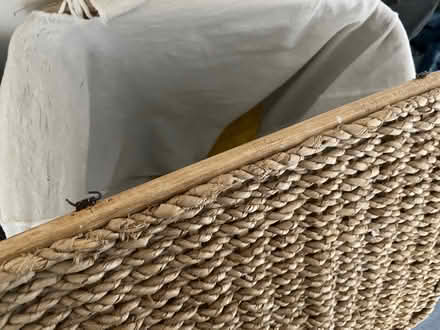 Photo of free Wicked basket with interior bag (Twickenham TW2) #2
