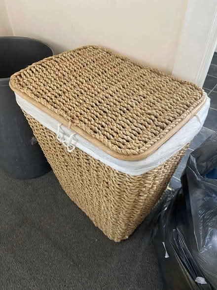 Photo of free Wicked basket with interior bag (Twickenham TW2) #1