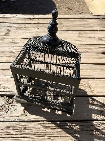 Photo of free Bird Cage Decor (Four Hills area) #1