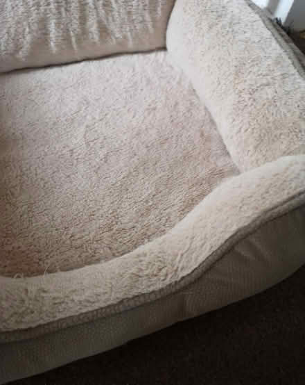 Photo of free Cat bed (St Albans AL4) #2