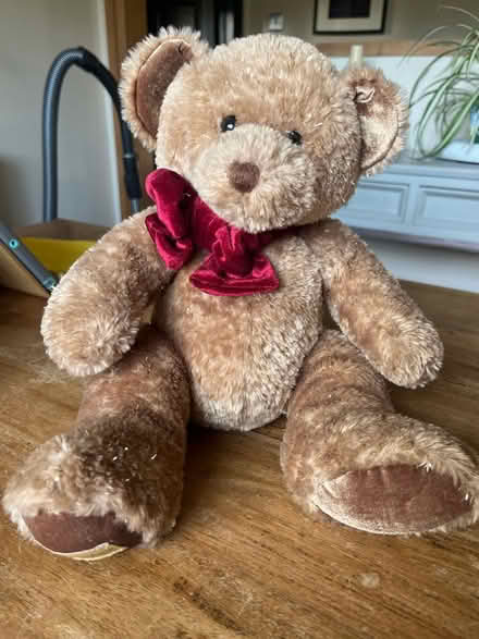 Photo of free ‘Mischief' Bear (Chesham HP5) #1