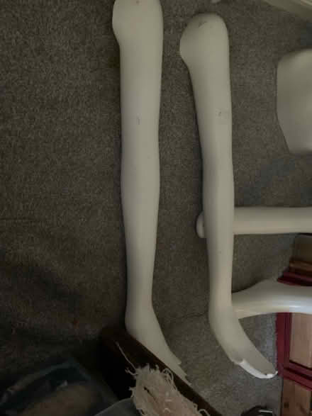 Photo of free Full size mannequin (Pleasley, Mansfield NG19) #3