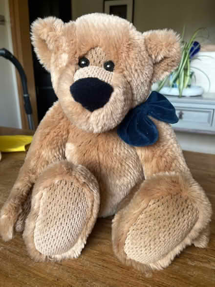 Photo of free Hamleys Teddy Bear (Chesham HP5) #1