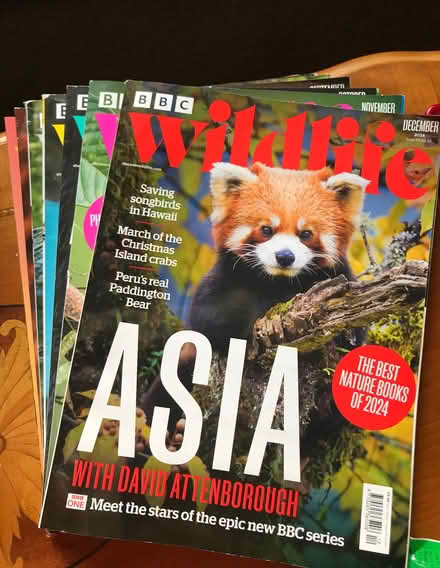 Photo of free Wildlife magazines (Lower Tranmere CH41) #1
