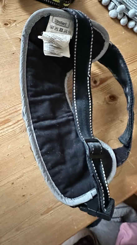 Photo of free Harnesses & cat collars (Weston super mare) #2