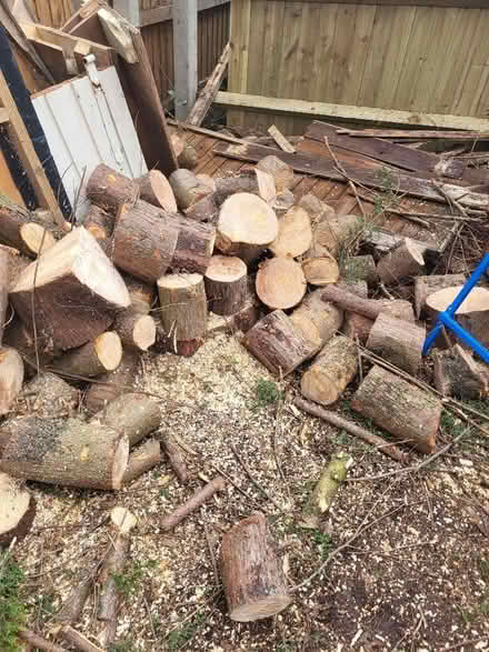 Photo of free Fire wood (Hester's Way GL51) #1