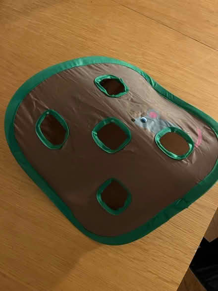 Photo of free Kitten Toy (AL1) #1