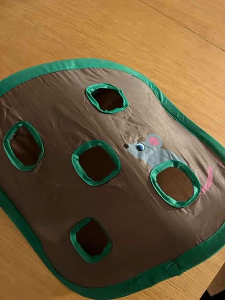 Photo of free Kitten Toy (AL1) #2