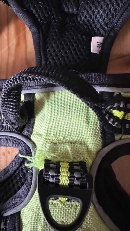 Photo of free Harnesses & cat collars (Weston super mare) #3
