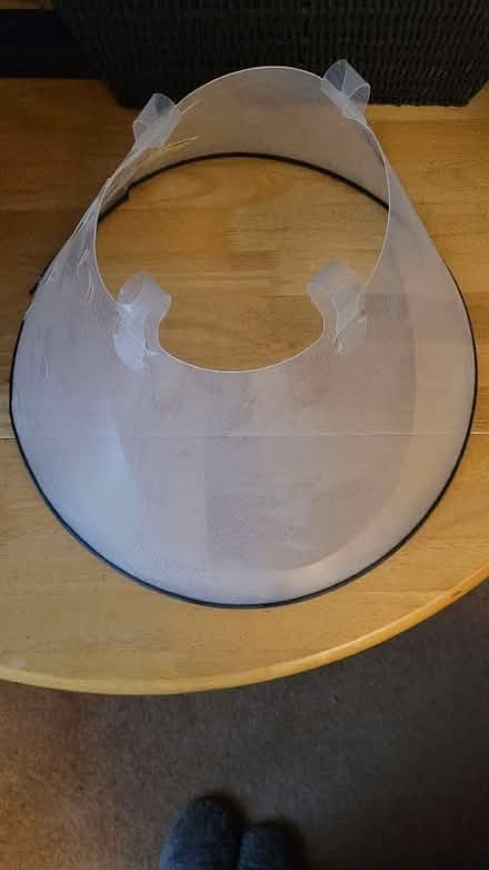 Photo of free Dog Buster Collar 30cm (Overstone Lodge) #3