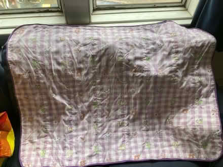 Photo of free Playmat/Quilt (Prestonfield EH16) #1