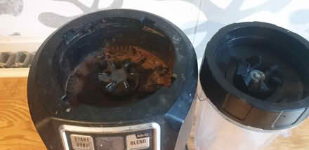 Photo of free Ninja blender (Off Shooters Hill Road SE18) #2