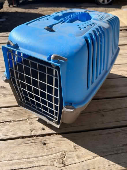 Photo of free Cat/animal Carrier (Four Hills area) #1
