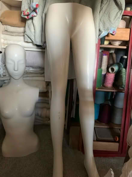 Photo of free Full size mannequin (Pleasley, Mansfield NG19) #2