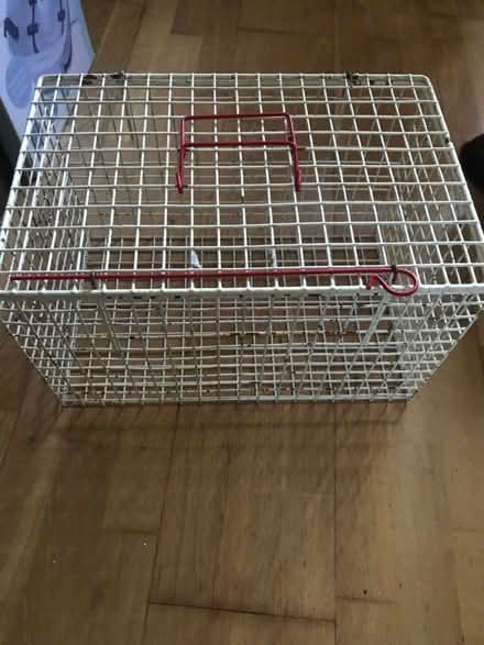 Photo of free Pet carrier (SG1 Stevenage) #1