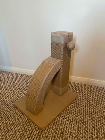 Photo of free Cat Scratch (Bracknell, RG12) #1