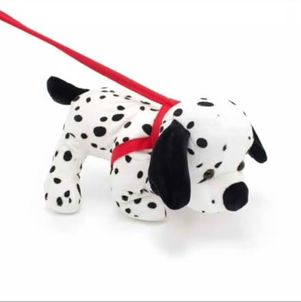 Photo of Dog on a lead (Broadwater SG2) #1