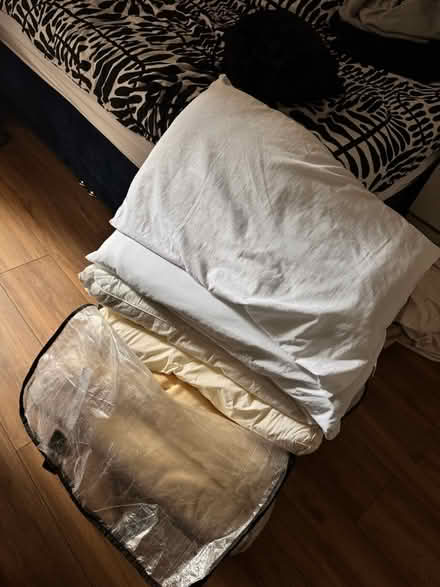 Photo of free Pillows (Close to Ravenscourt Park) #1