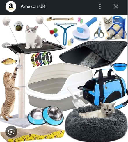 Photo of Cat essentials (Lower Walkley S6) #1