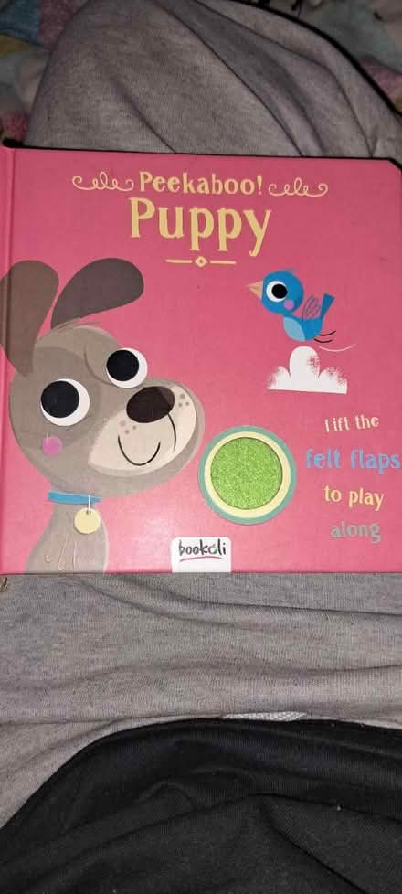 Photo of free Peekaboo puppy book (CR0) #1