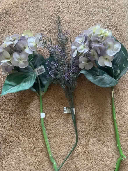 Photo of free Silk flowers (Saratoga) #1