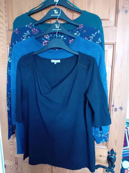Photo of free Ladies tops size 14 (Station Area RG21) #1