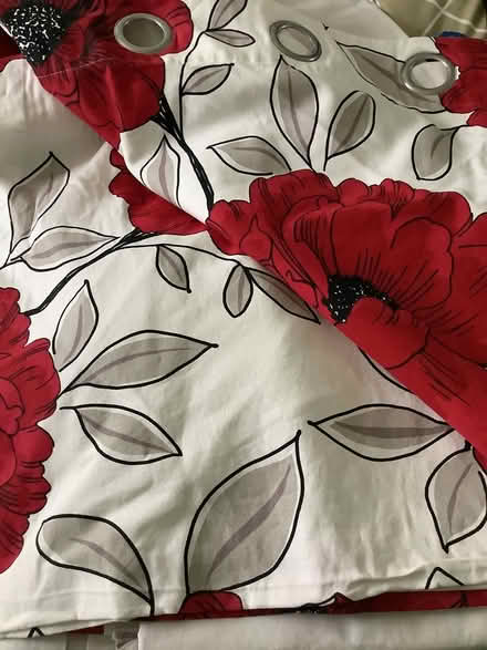 Photo of free Curtains (Abington) #1