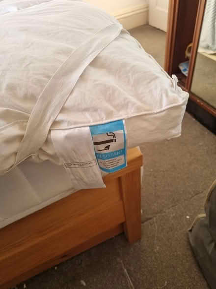 Photo of free John Lewis feather and down king size topper (New Hinksey OX1) #3